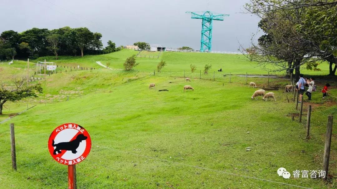 睿富文旅｜为纪念母亲和发展日本畜牧业而建的MotherFarm