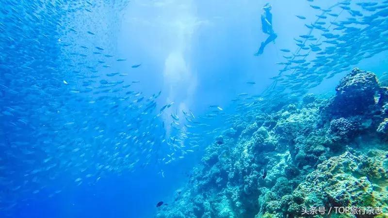 从澳大利亚到德国，这个吃遍世界的美女，把所到之处变成她的食堂