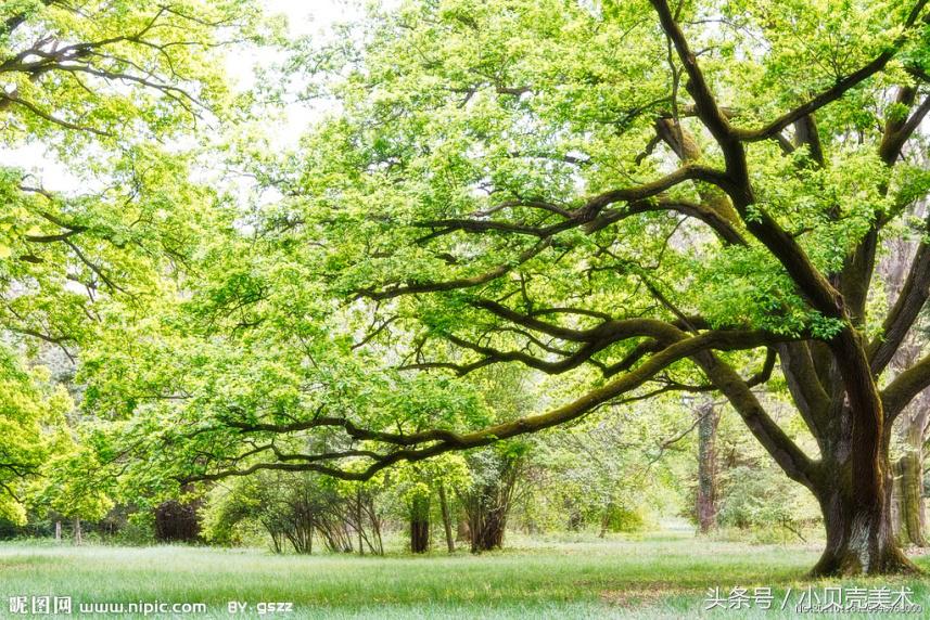 吹呀吹创意美术,创意美术我爱吹泡泡