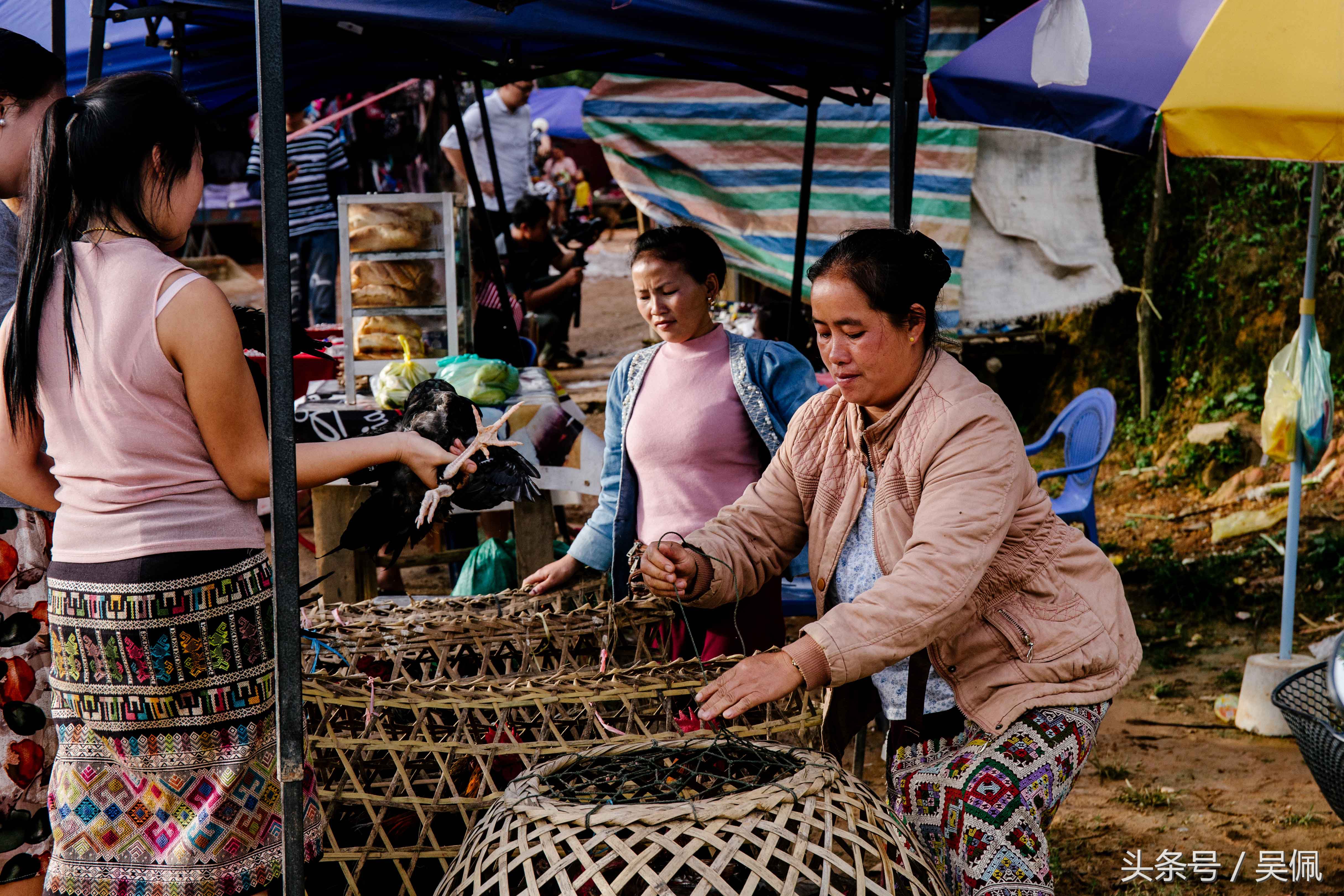 去过老挝为什么要被海关拦下,进入老挝的真实感受