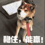 懒癌需要什么来拯救,懒癌拯救指南