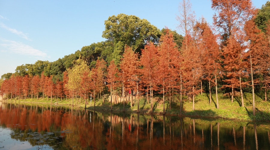深圳哪里有海滩免费景点,深圳十大免费景点有哪些