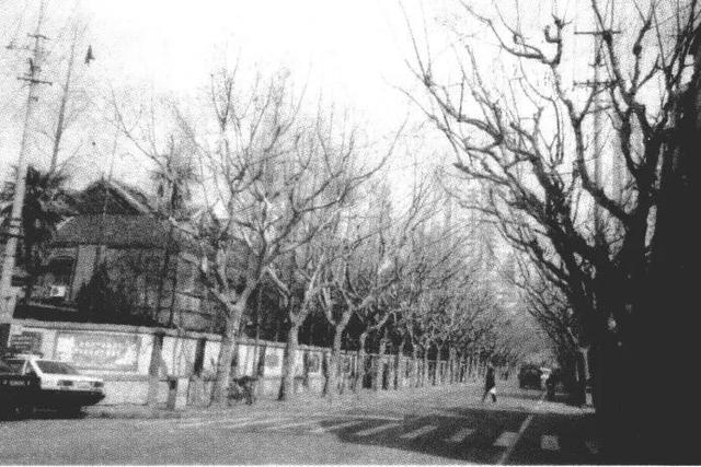 上海曾经有过哪些高校,上海沪新中学怎么样