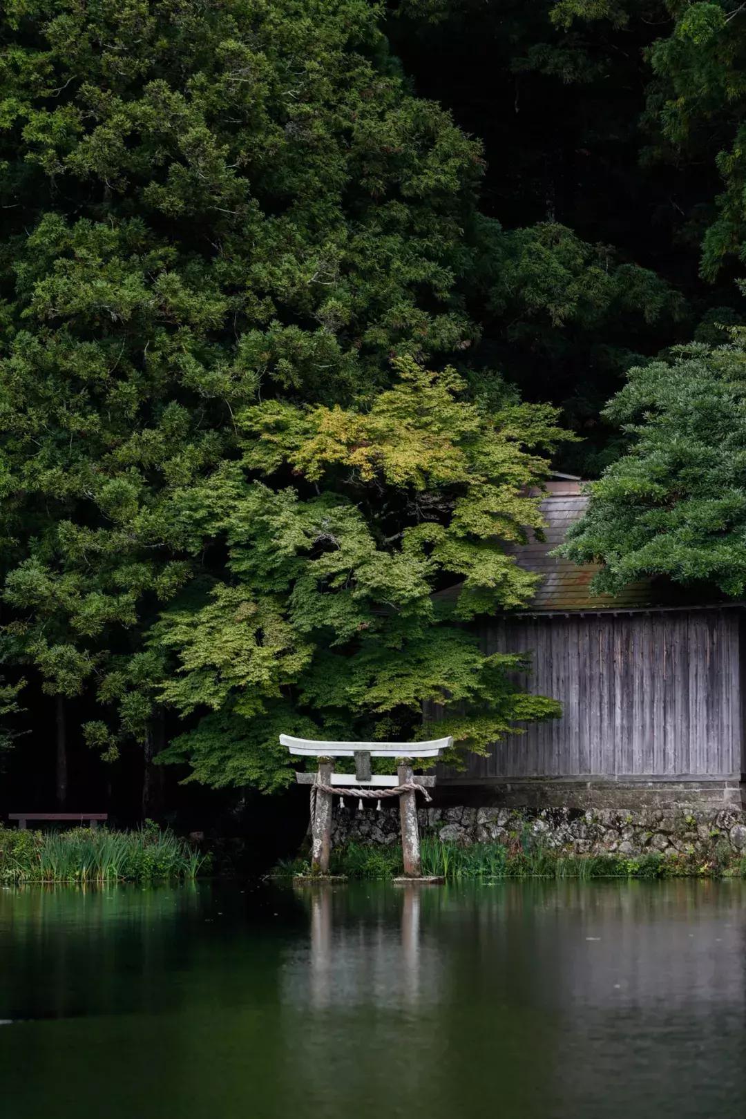 再谈伦纳德,eosr使用技巧