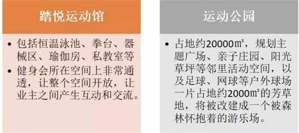 蓝城发展模式,蓝城打造的小镇