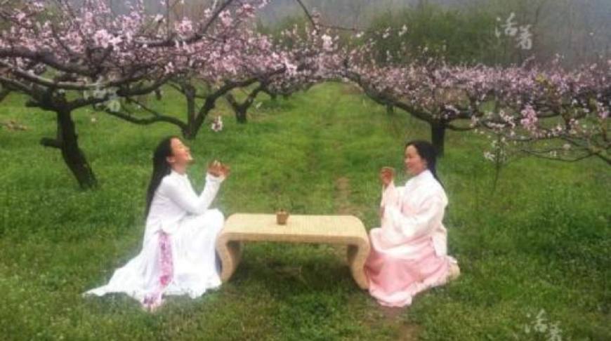 为什么隐居的人越来越多了,为什么隐居秦岭