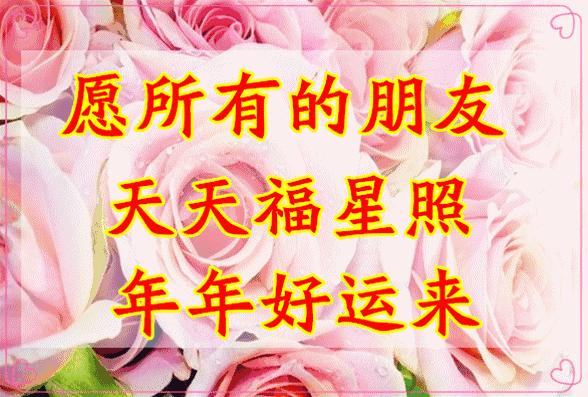 10张会动的照片,11张会动的图片