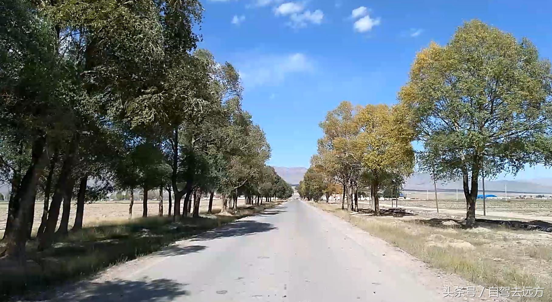 灞变腹鐗ф皯楠戦┈,灞变腹楠戦┈鐗ф皯