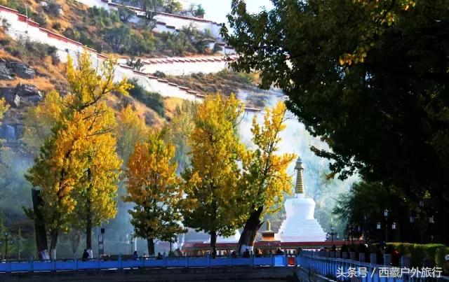 拉萨林芝旅游攻略最新四天三夜,拉萨旅游攻略超详细