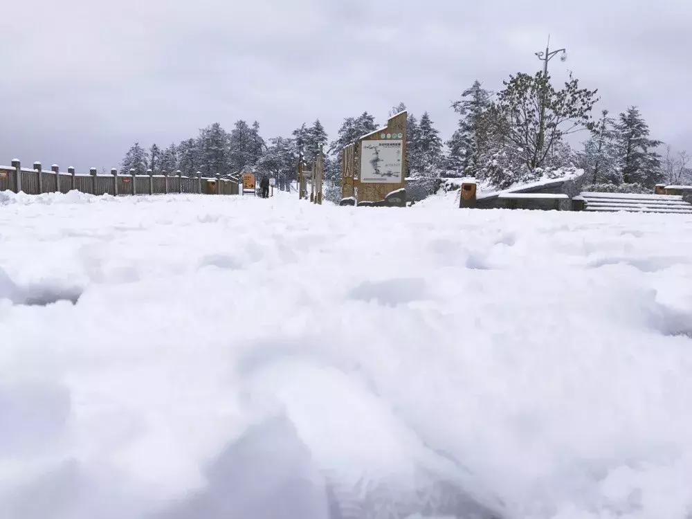 成都周边解压的游乐项目,成都周末解压玩耍推荐