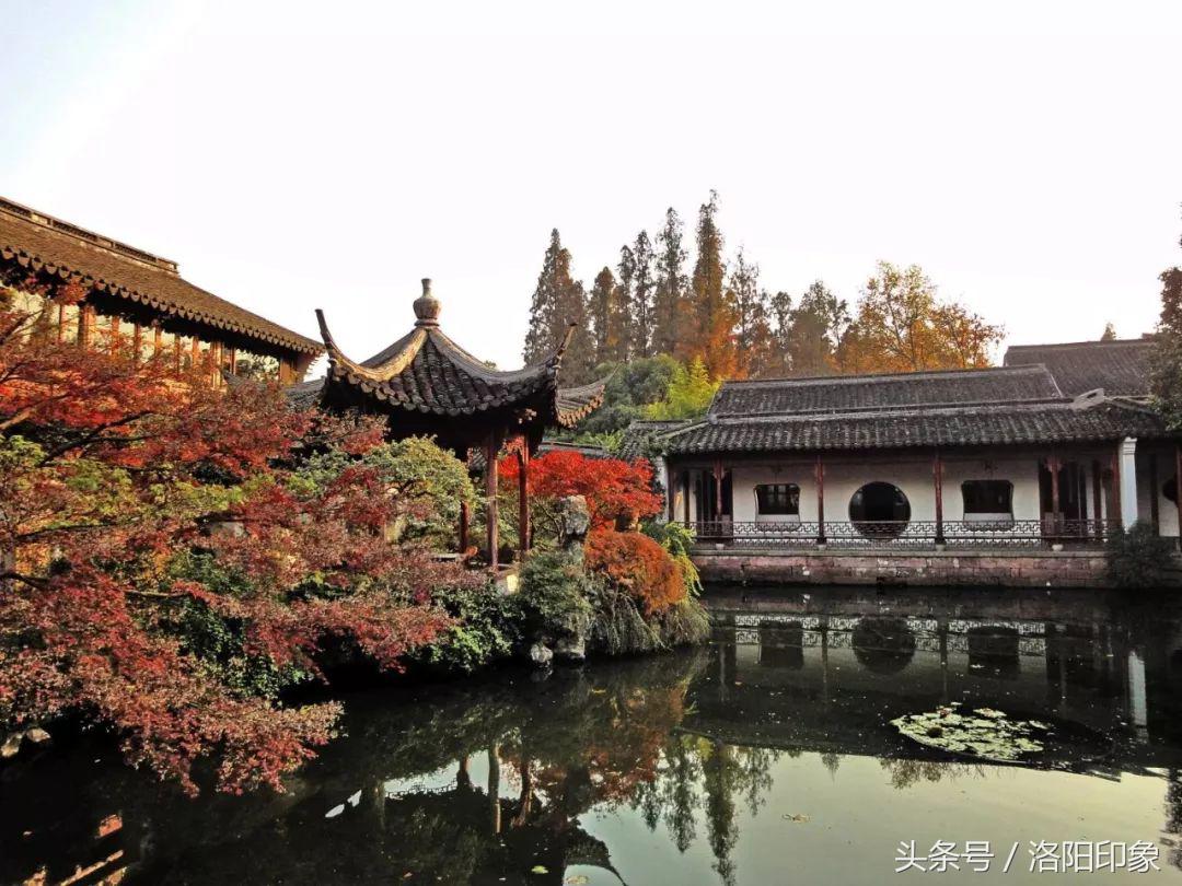 洛阳机场客流,2019年洛阳机场客流