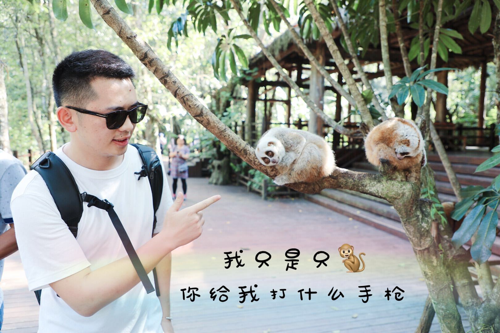 光唱歌就能给村里分红,曾祭人头的神秘佤族,走进你不知道的云南