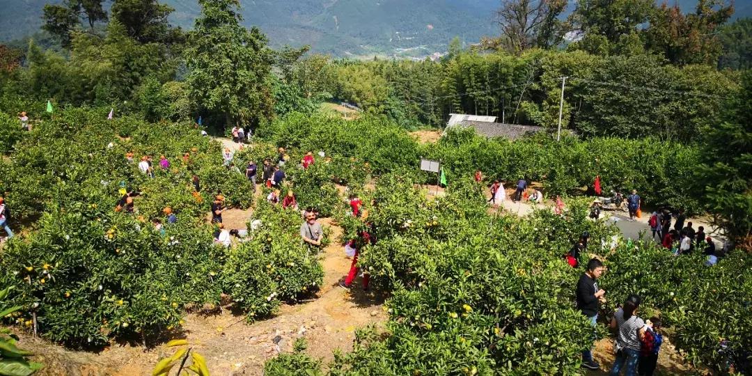 这一口甜蜜，让几百个三明人恋爱了