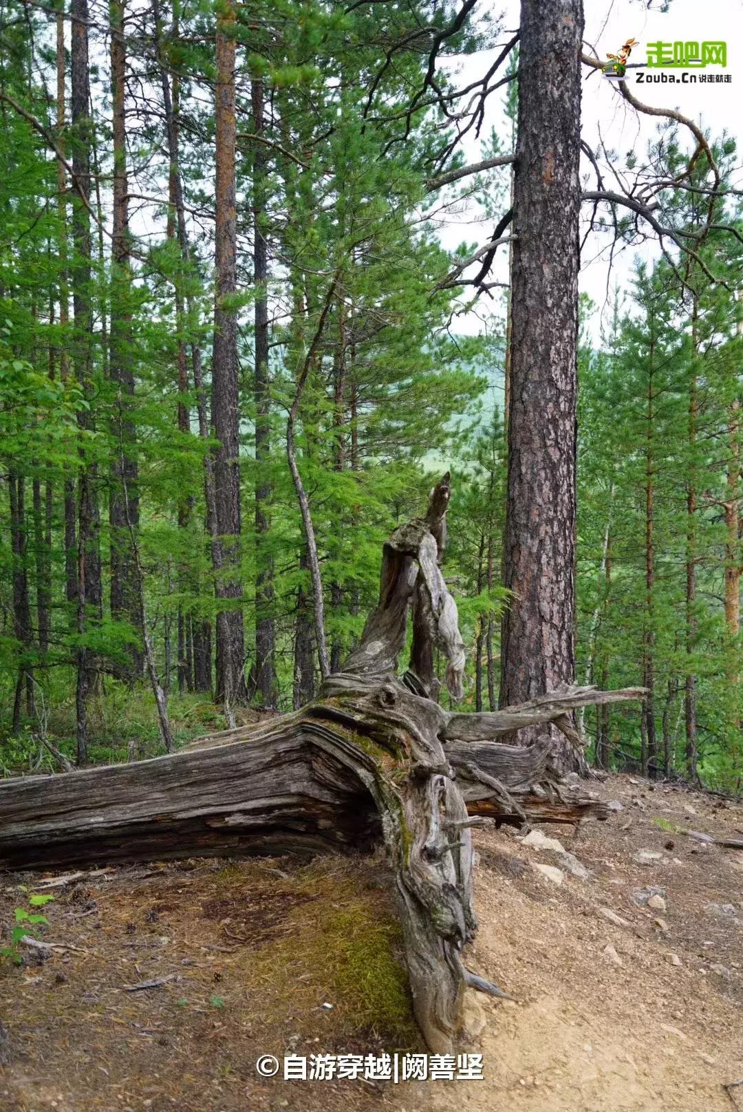 环中国自驾第二十六天,环中国23天自驾
