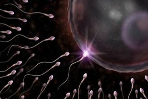 没成功进入子宫的“精子”去哪儿了？看完就知道了，别不好意思！