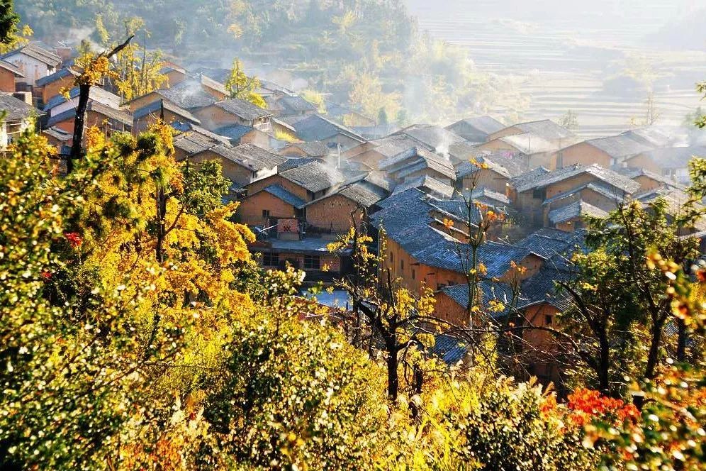 秋在广东很珍贵，若不细心寻找，它便静静地离开了