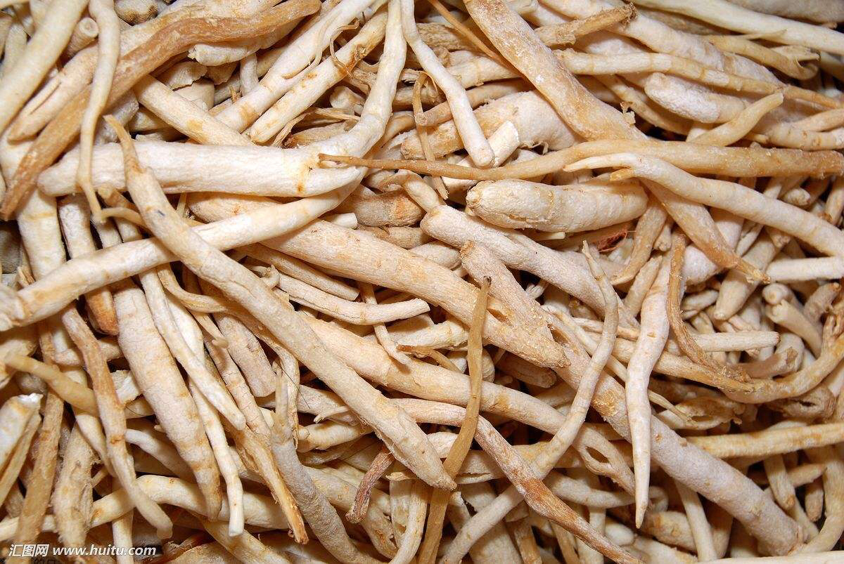 中药材沙参的功效与作用,中药材沙参