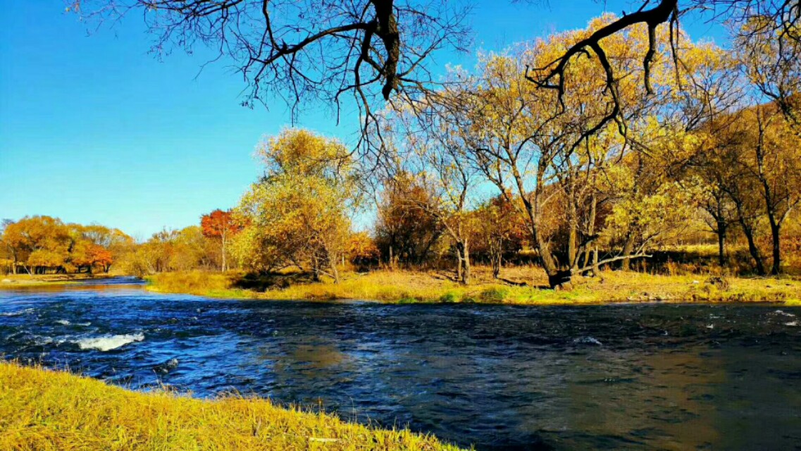 客户投诉服务态度不好怎么回复,银行关于客户投诉的回复声明