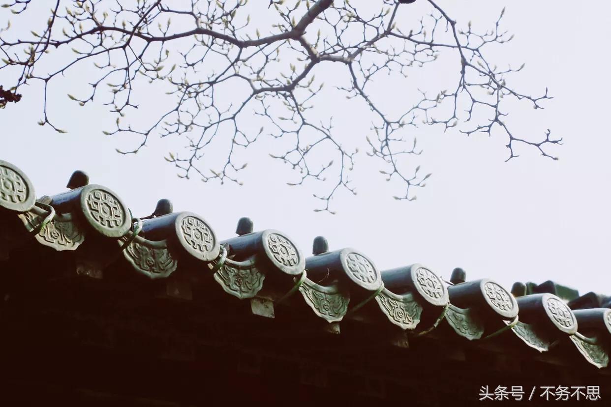 冬天扬州瘦西湖,十二月份的扬州瘦西湖