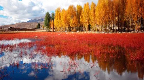 往后余生，我想和你有个家，就在稻城亚丁！