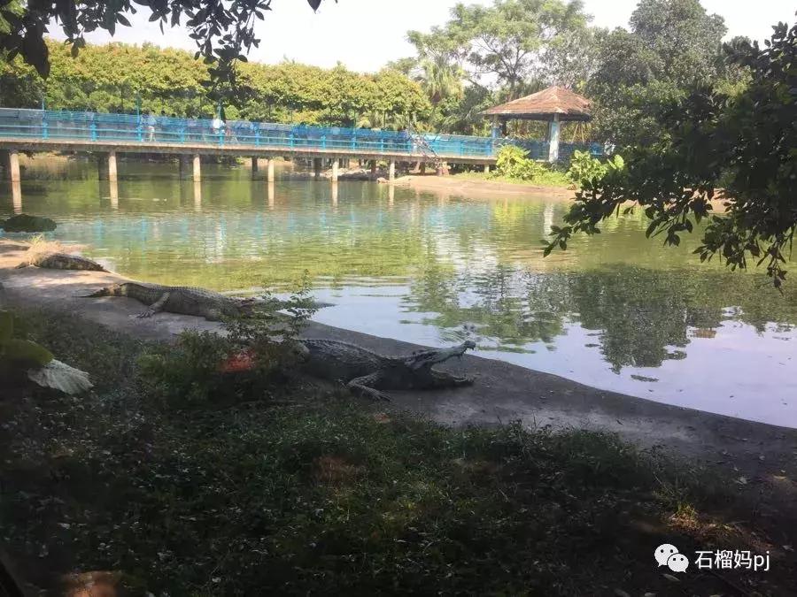 骞垮窞闀块殕椋為笩涔愬洯绁ㄤ环,闀块殕椋為笩涔愬洯灏忓绁ㄤ环