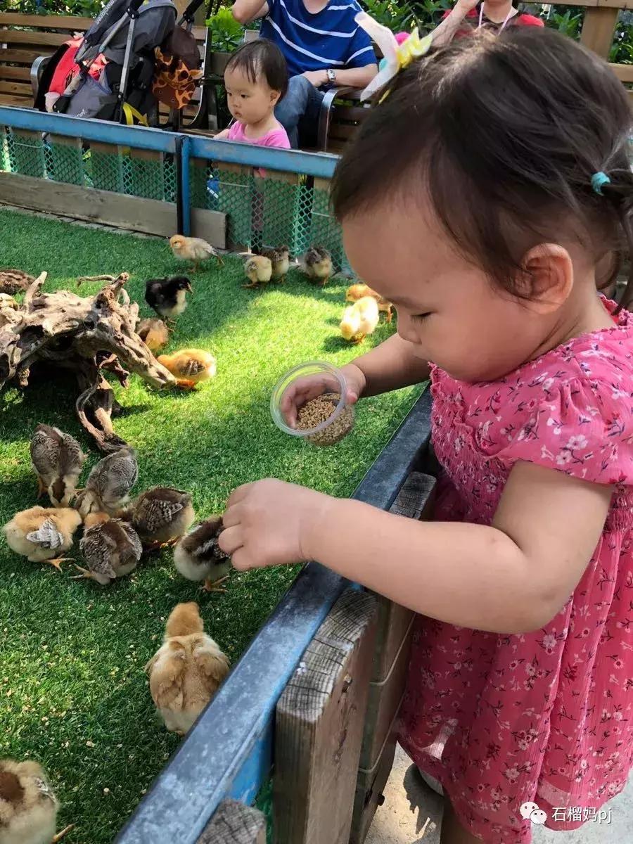 骞垮窞闀块殕椋為笩涔愬洯绁ㄤ环,闀块殕椋為笩涔愬洯灏忓绁ㄤ环