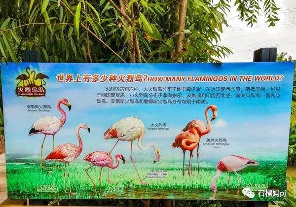 骞垮窞闀块殕椋為笩涔愬洯绁ㄤ环,闀块殕椋為笩涔愬洯灏忓绁ㄤ环