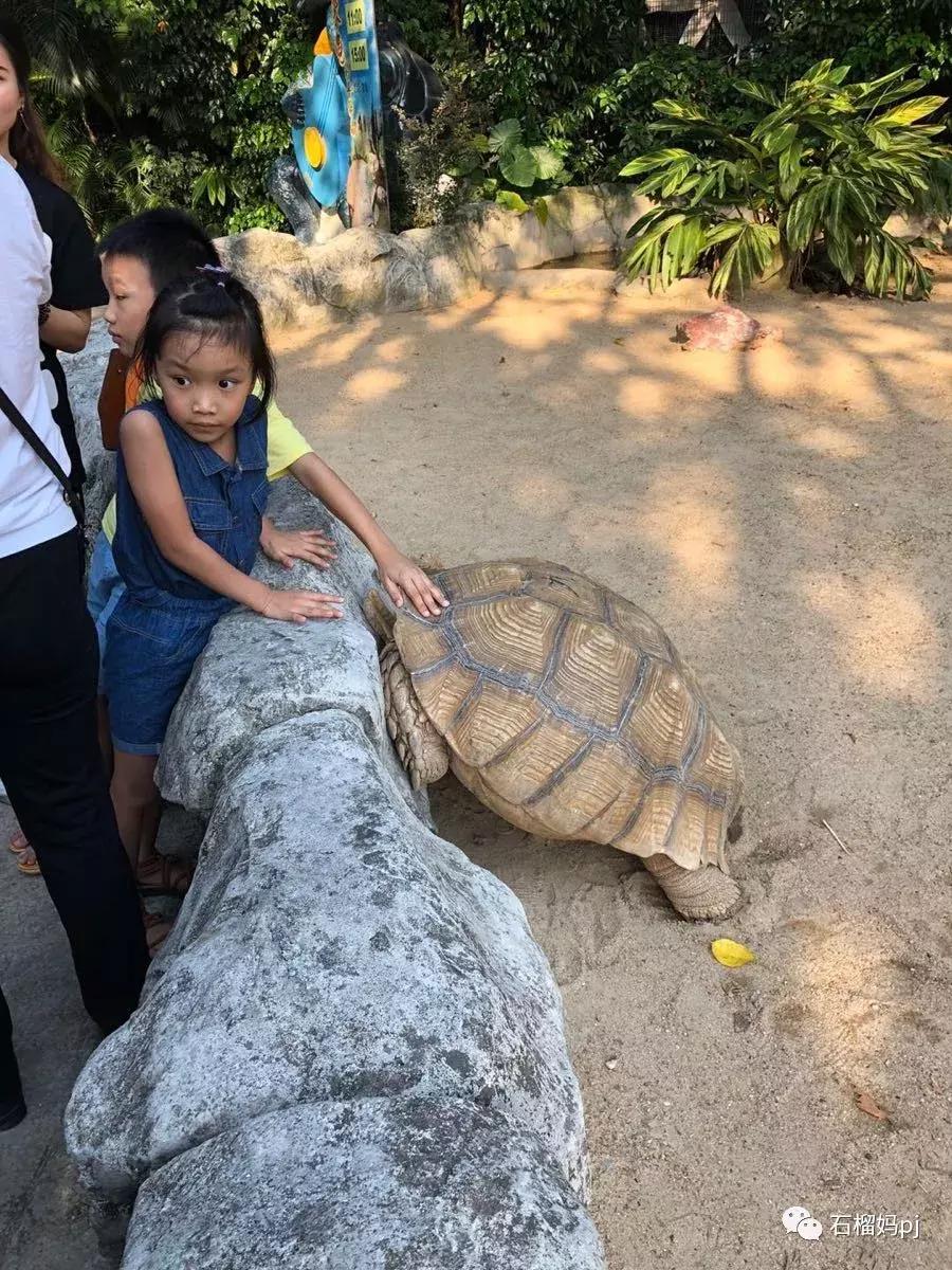 骞垮窞闀块殕椋為笩涔愬洯绁ㄤ环,闀块殕椋為笩涔愬洯灏忓绁ㄤ环