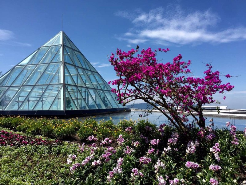 川藏悬崖酒店,峨眉山顶级最美民宿酒店