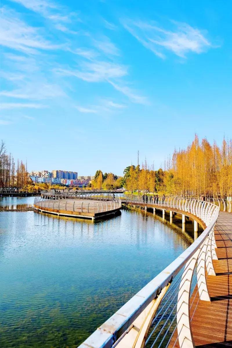 成都新津最新楼盘房价,新津房价一览表