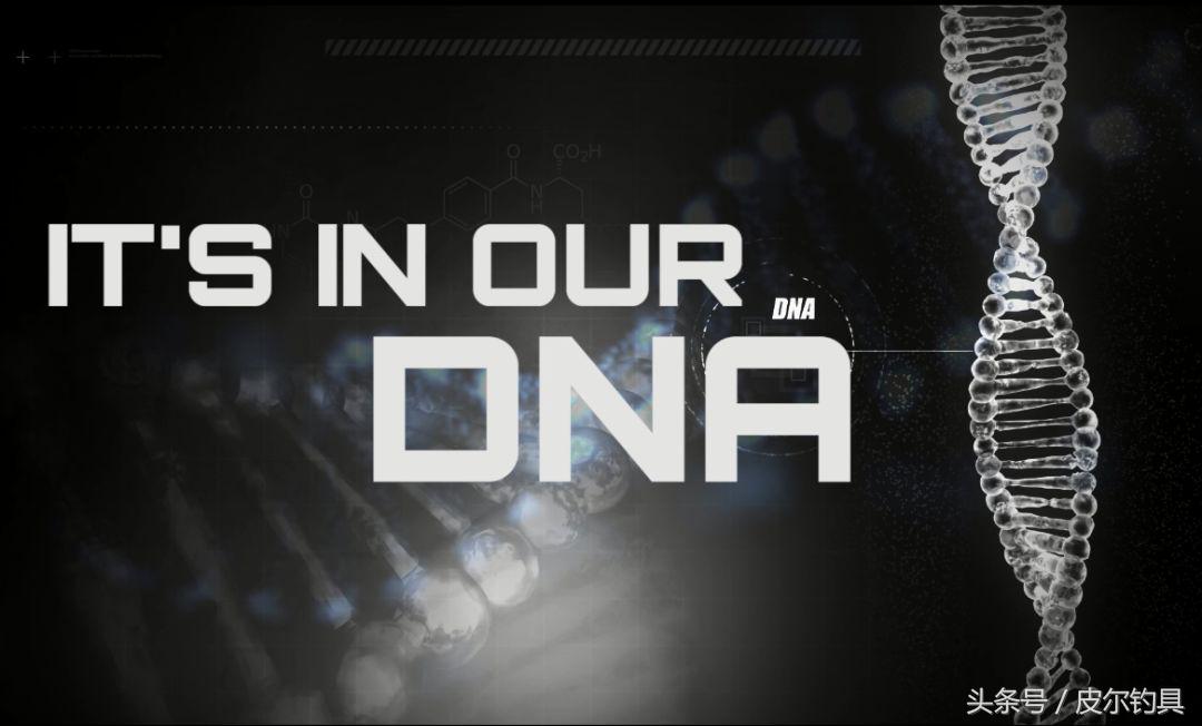 矶钓鱼线台钓能用吗,矶钓鱼线和台钓鱼线区别