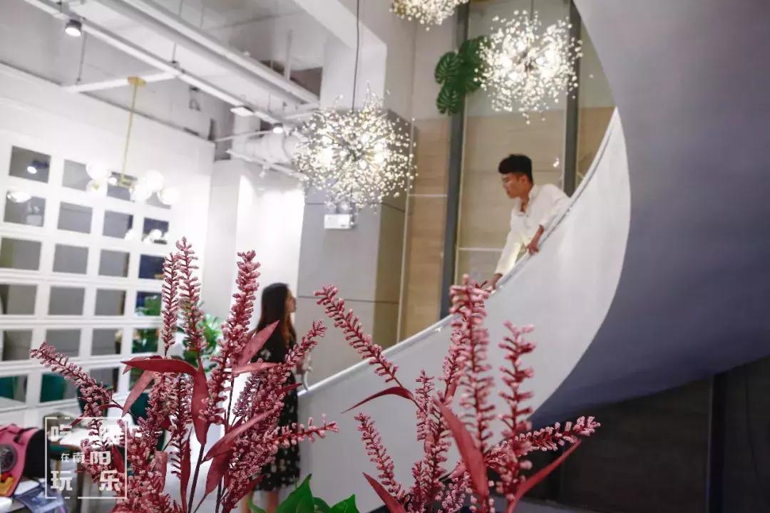 南阳shou家全透明撸猫咖啡馆！有手臂长的牛排！面包届的法拉利！