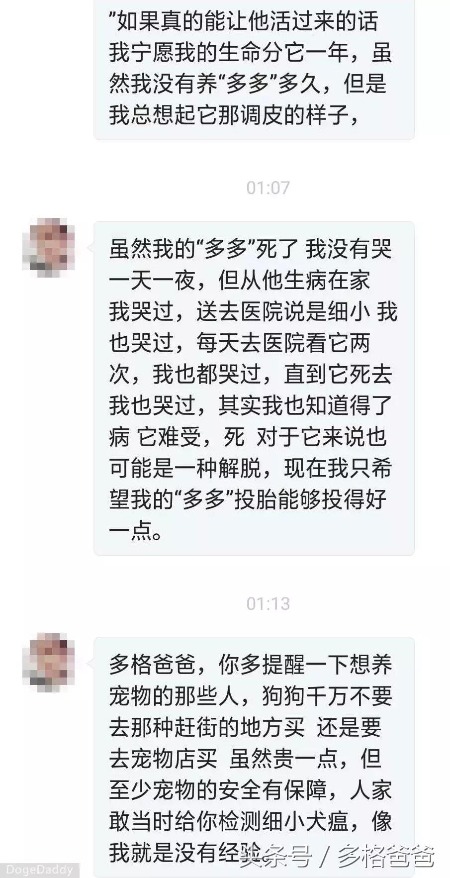 犬舍买狗需要注意什么问题和细节,买幼犬要注意哪些