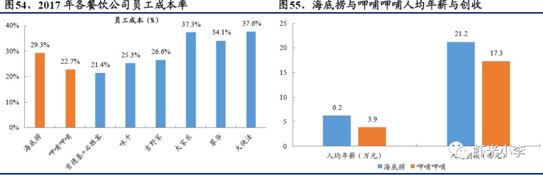 火锅行业发展报告,火锅行业数据分析报告