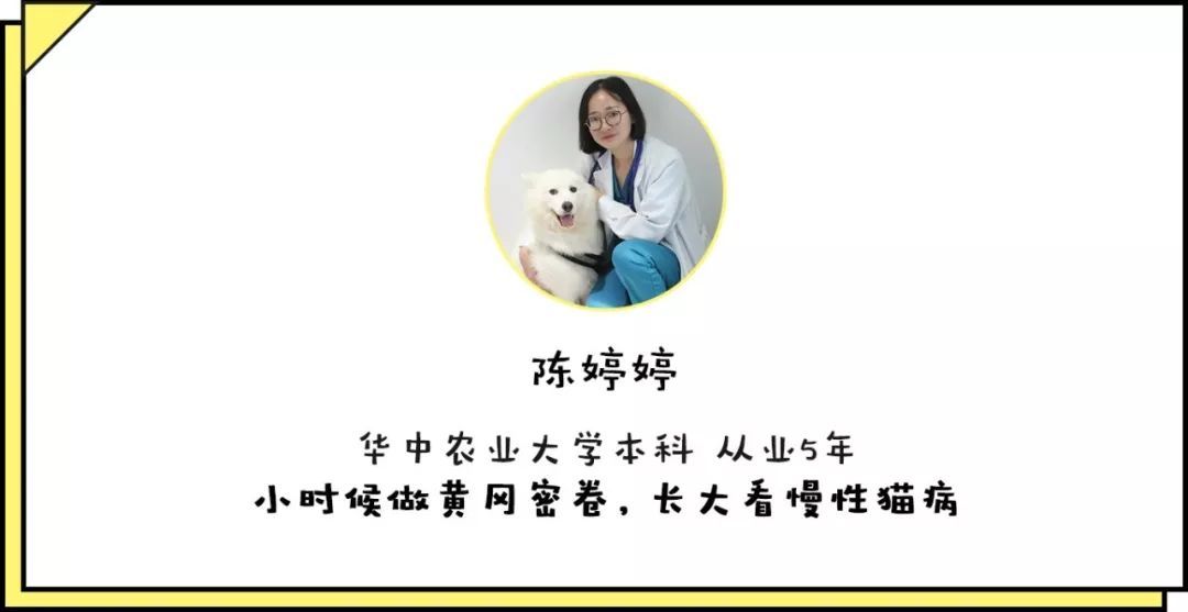 宠物皮肤病科普和治疗,宠物医生奇葩问题