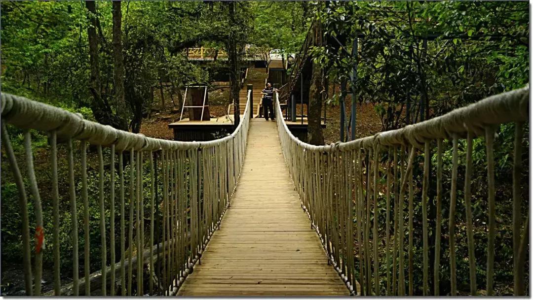 成都出发哪条线路秋景最美,成都出发两小时看满山红叶