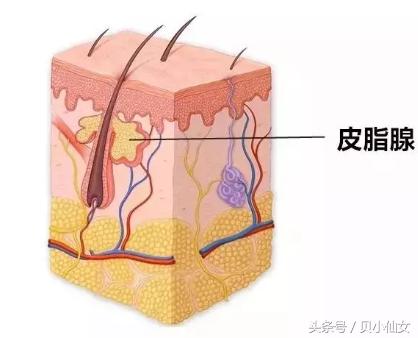 怎么才能让毛孔消失呢,怎么拯救我的毛孔