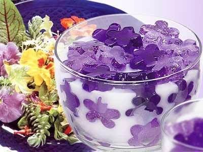 减肥饼干酵素果冻真的假的,减肥酵素软糖能减肥吗