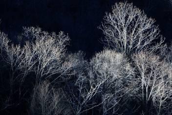 数码单反摄影教程,数码单反摄影进阶完全教程