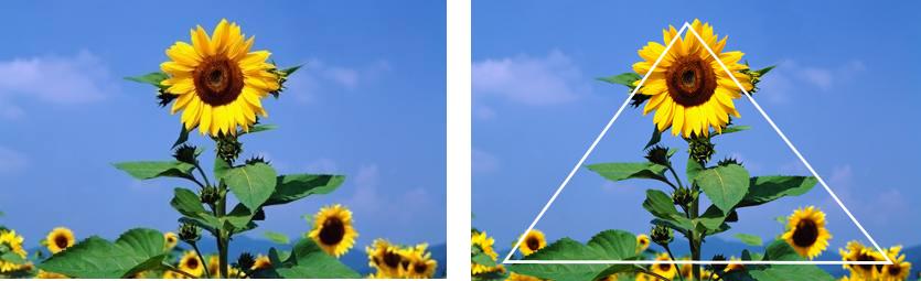 数码单反摄影教程,数码单反摄影进阶完全教程