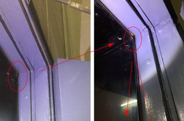 家里有蟑螂怎样驱蟑螂小妙招,家里有蟑螂怎么办蟑螂要怎样灭