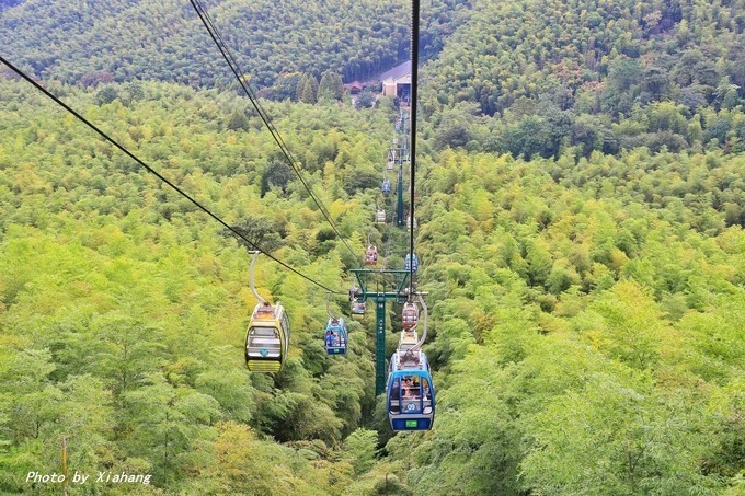 华东第一竹海在江苏哪个城市,亚洲第一天然氧吧蔡伦竹海