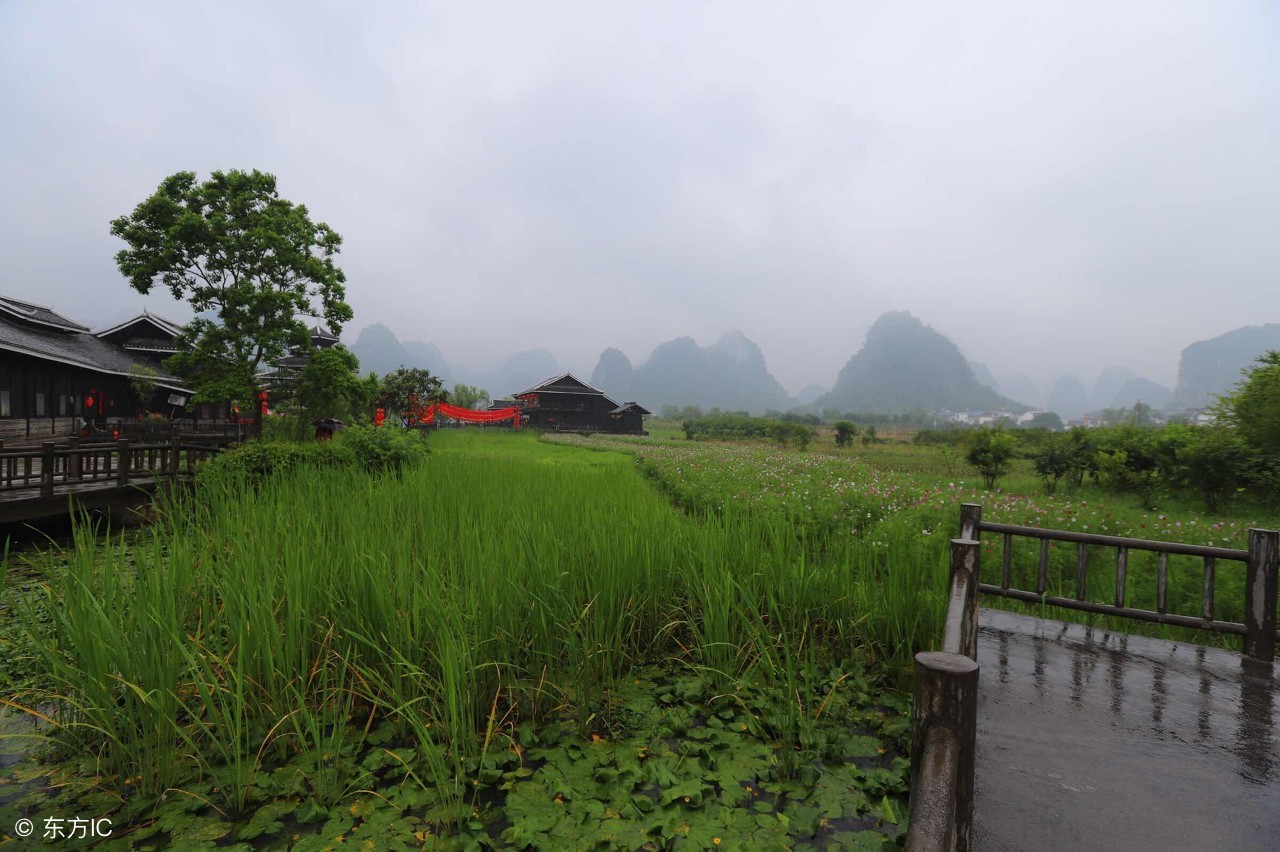 江苏4万多个家庭农场前景喜人农村真的越来越值钱?