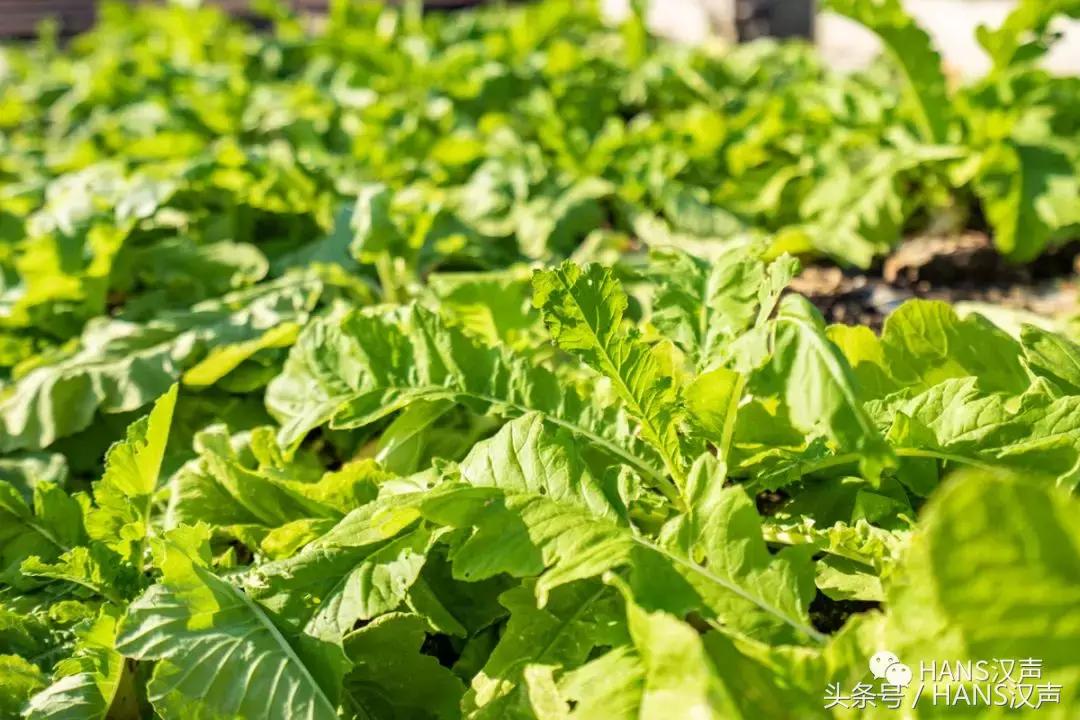 走，一起去武汉奇妙顶楼天台踢球蹦迪撸串