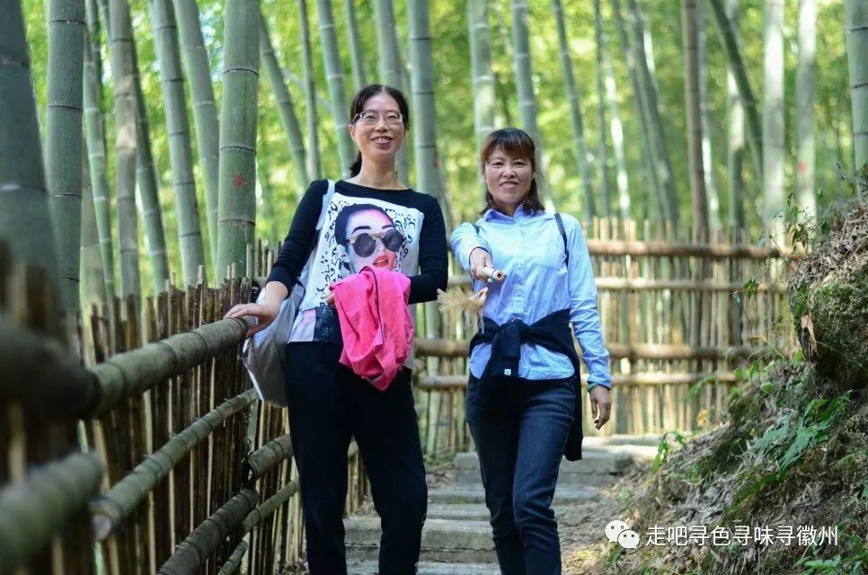 竹海扬波，溪山飞瀑｜心花开放在幽篁里