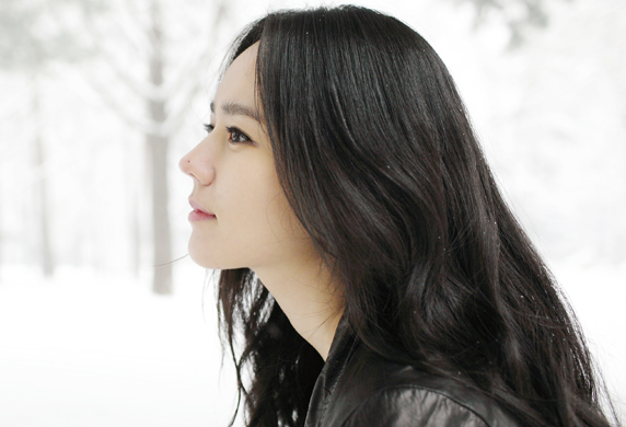 河智苑的韩国艺人,河智苑韩流