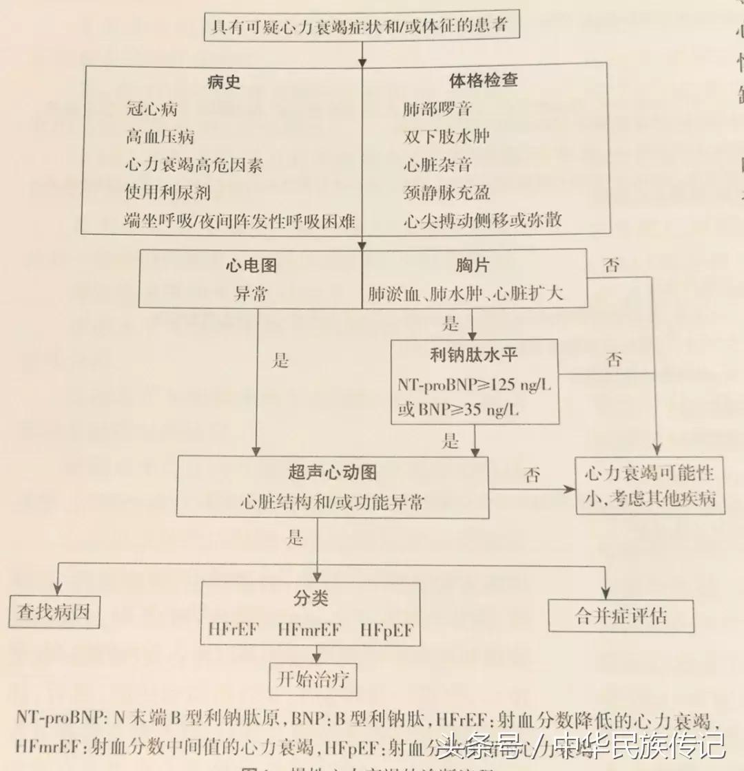 2018心力衰竭诊断和治疗指南,2018年心力衰竭诊断治疗指南
