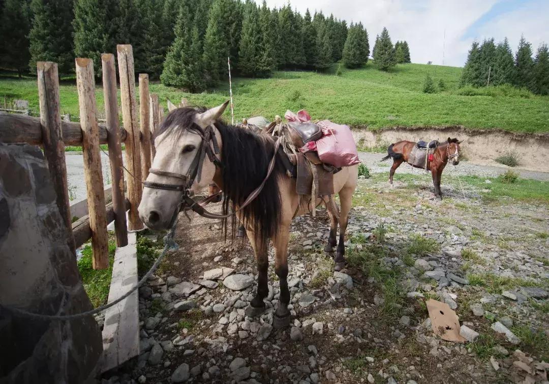 博格达环线游记,众山之王珠穆朗玛峰