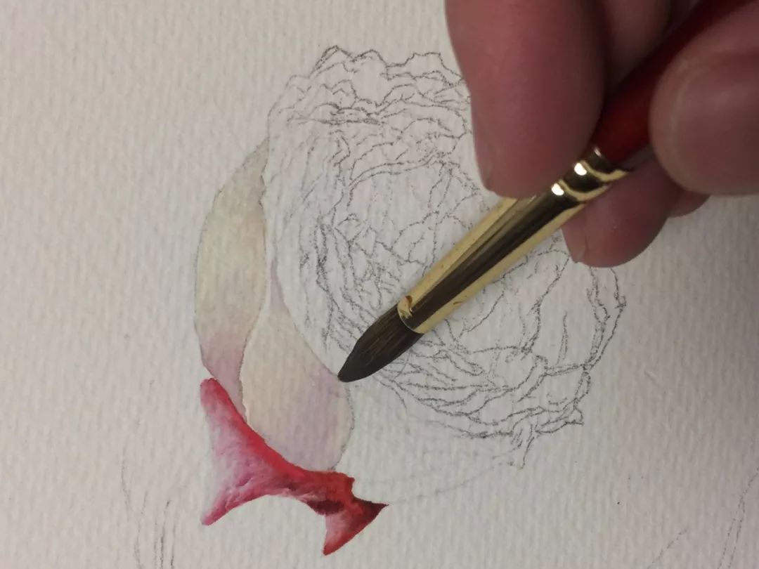 情人节用丙烯画画,情人节教我们画玫瑰