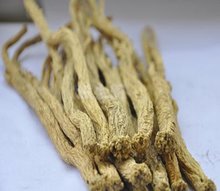 山西晋城市概况,晋城市概况